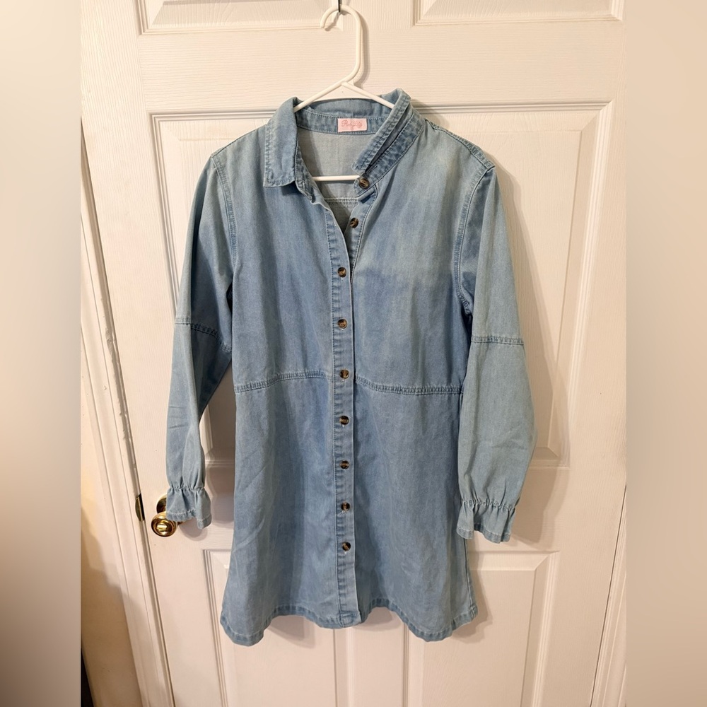Pink Lilly Denim Long Sleeve Mini Dress